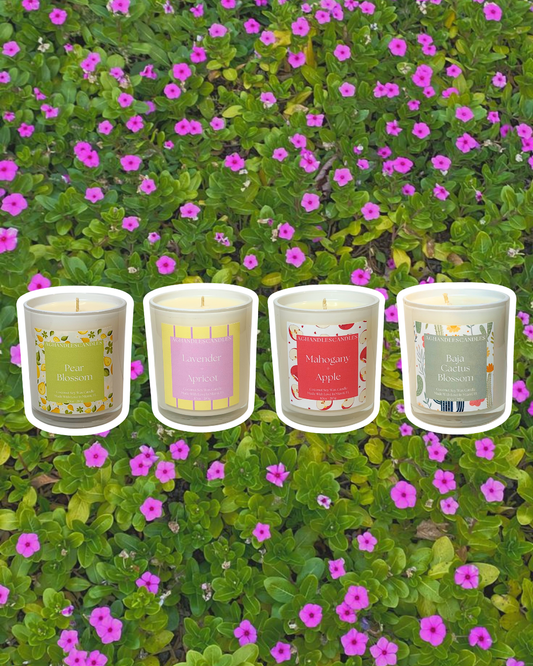 Spring Collection 2026